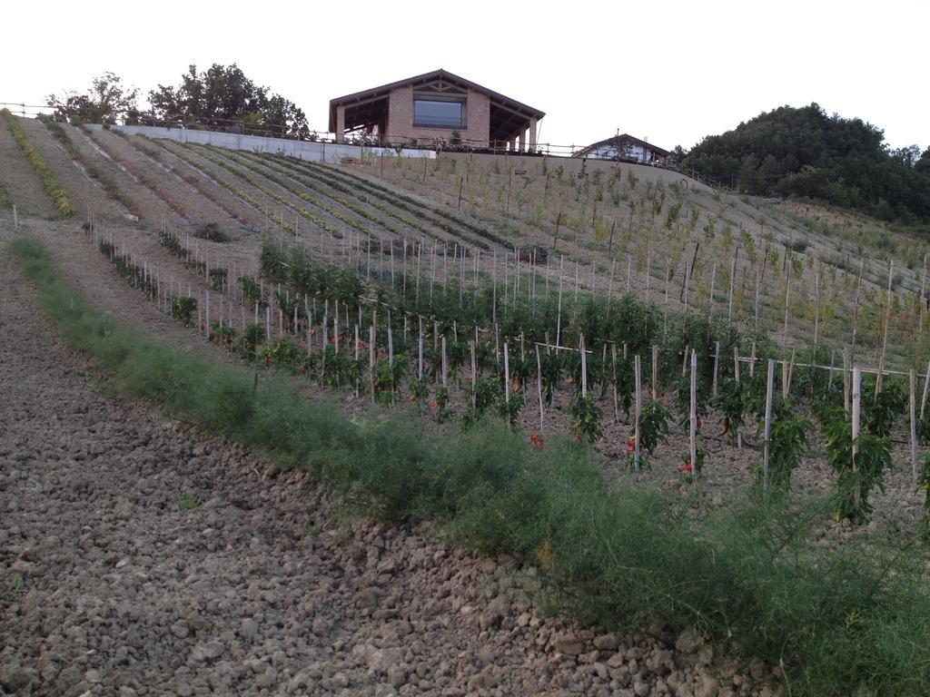 Agriturismo Alba Del Borgo Fidenza Exterior foto